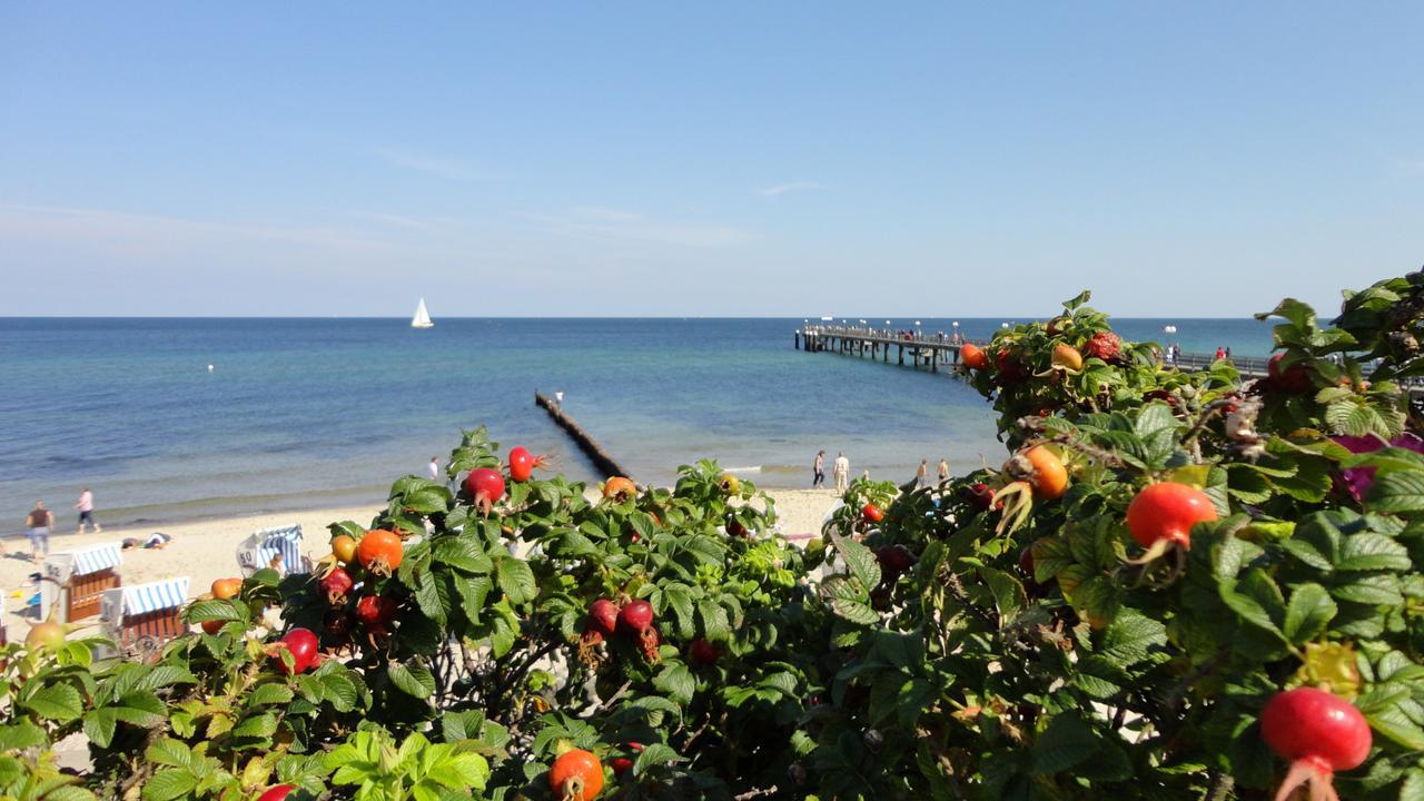 Parkhotel IV Jahreszeiten Ostseebad Kühlungsborn 외부 사진